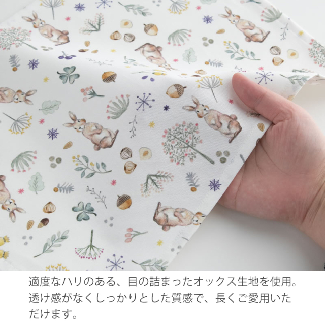 専用ページ　材料持ち込み　ランチマット　8枚 dcm01lm2-14.jpg?t=20240617151051
