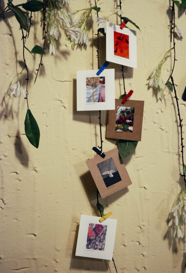 フォト フレーム 新品 L ポストカード サイズ 12点 セット フォト