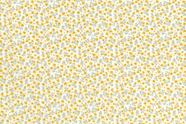 サンセットフラワー／Sunset Flower ラミネート 【デコレクションズ