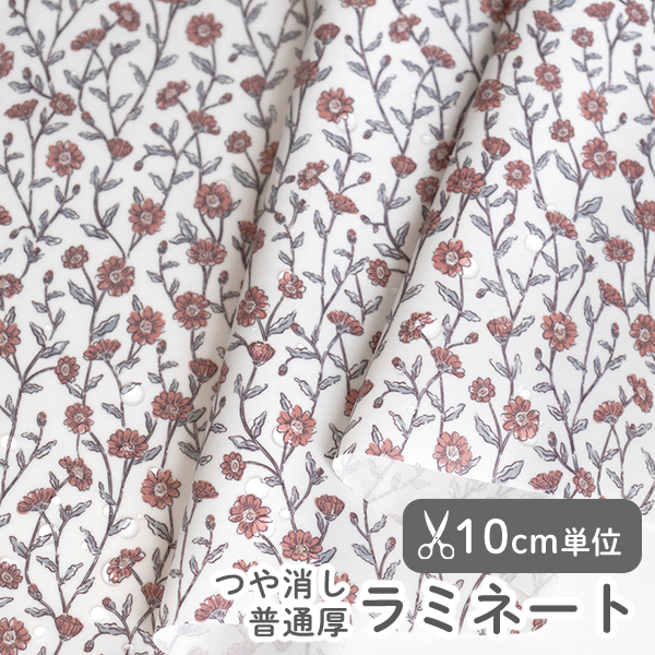 オーダーカット販売-最小50cmより10cm単位 デコレクションズ