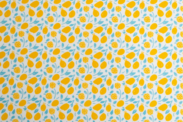 Honey Lemon やわらかラミネート 【デコレクションズ オリジナル生地