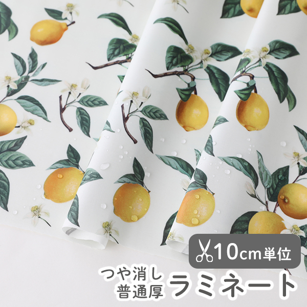 ▼▼▼▼▼【在庫限りOUTLET】生地 布 入園入学 北欧風　≪ サワーレモン ≫ ラミネート/幅106cm　手ざわりサラサラ・つや消しラミネート生地　【10cm単位販売】