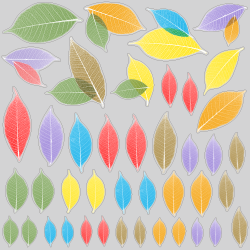 【VP】スケルトンリーフの写真