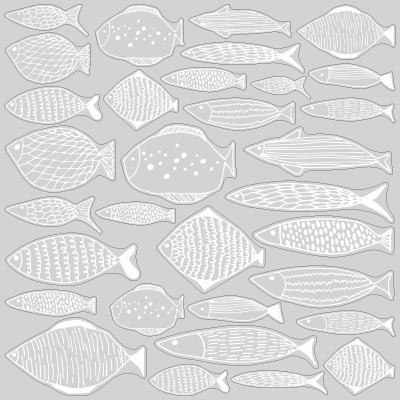 【VP】オヨグサカナ白の写真