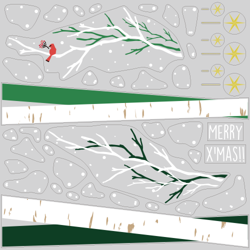 【VP】シラカバの写真