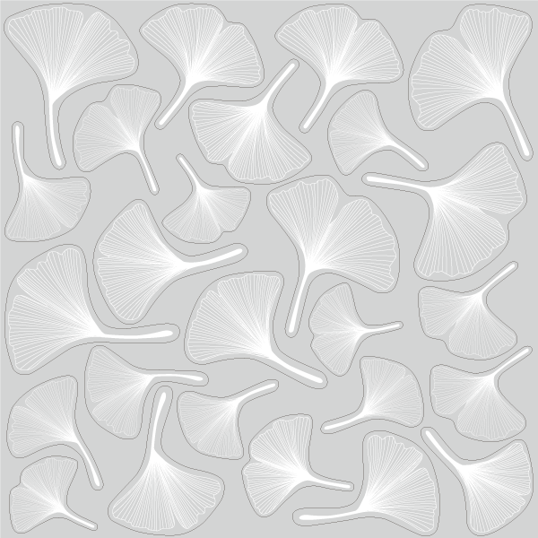 【VP】イチョウの葉 白