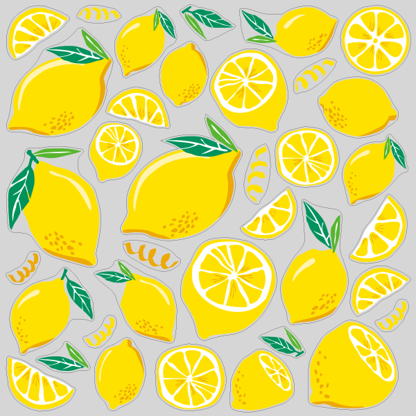 【VP】レモンキッドの写真