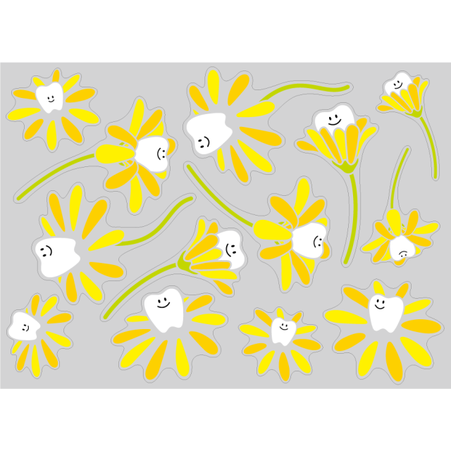 【PP】うれしい歯の誕生 ミニの写真