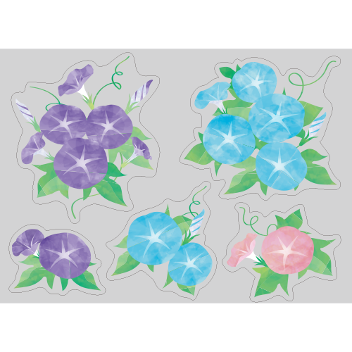 【PP】朝顔の写真