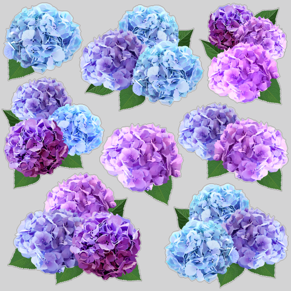 【VP】リアル紫陽花の画像