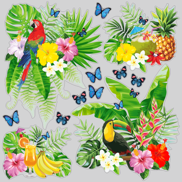 【VP】南国 鳥と蝶の楽園