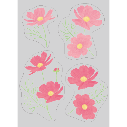 【PP】秋桜の写真