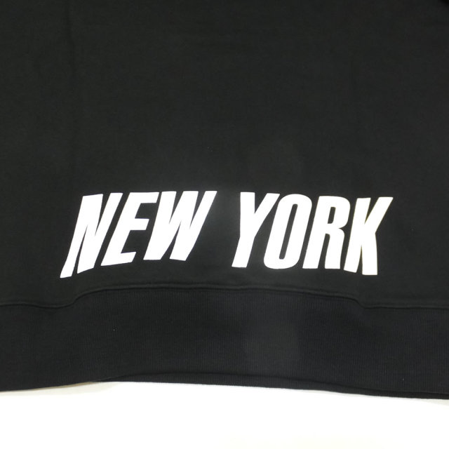 MAJESTIC マジェスティック プルオーバーパーカー PULLOVER HOODY MM06-NY-8F03