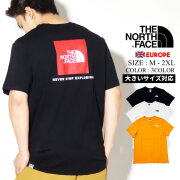 THE NORTH FACE ザ・ノースフェイス Tシャツ 半袖 メンズ レディース バックプリント ボックスロゴ S/S BOX NSE TEE nftt019