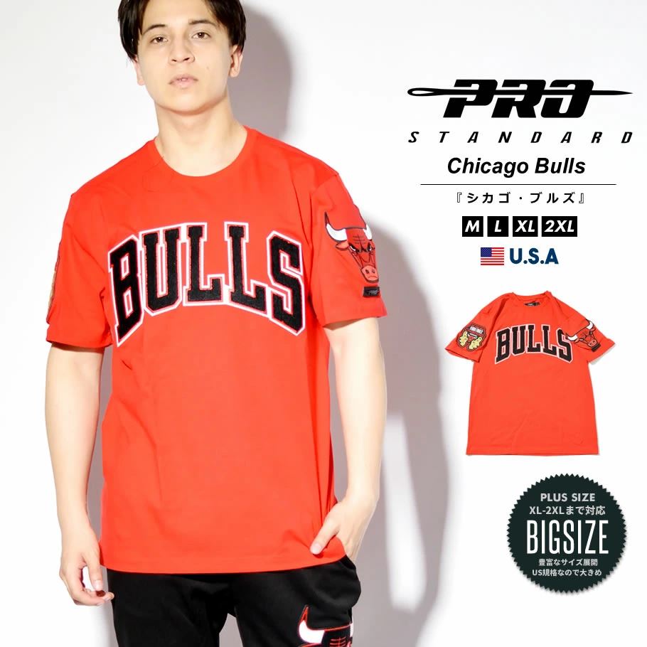 プロスタンダード PRO STANDARD Tシャツ メンズ 半袖 シカゴ・ブルズ NBA CHICAGO BULLS LOGO TEE pstt004