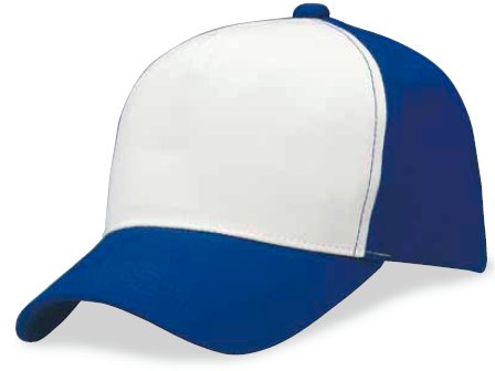 【PointSkyward】 MコンビCAP [M]