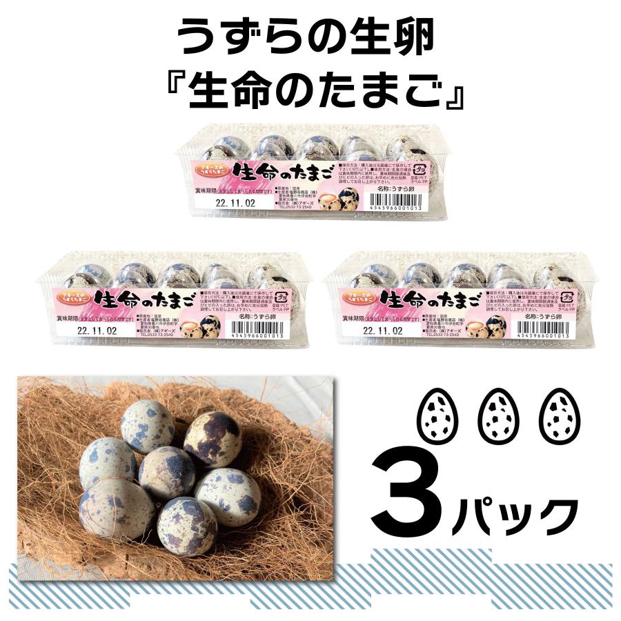 【食用】 生命のたまご うずらの卵 10個入り 3パック / 豊橋名産 産地直送 新鮮