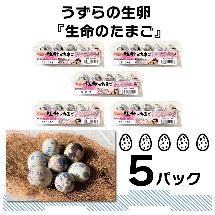 【食用】 生命のたまご うずらの卵 10個入り 5パック / 豊橋名産 産地直送 新鮮