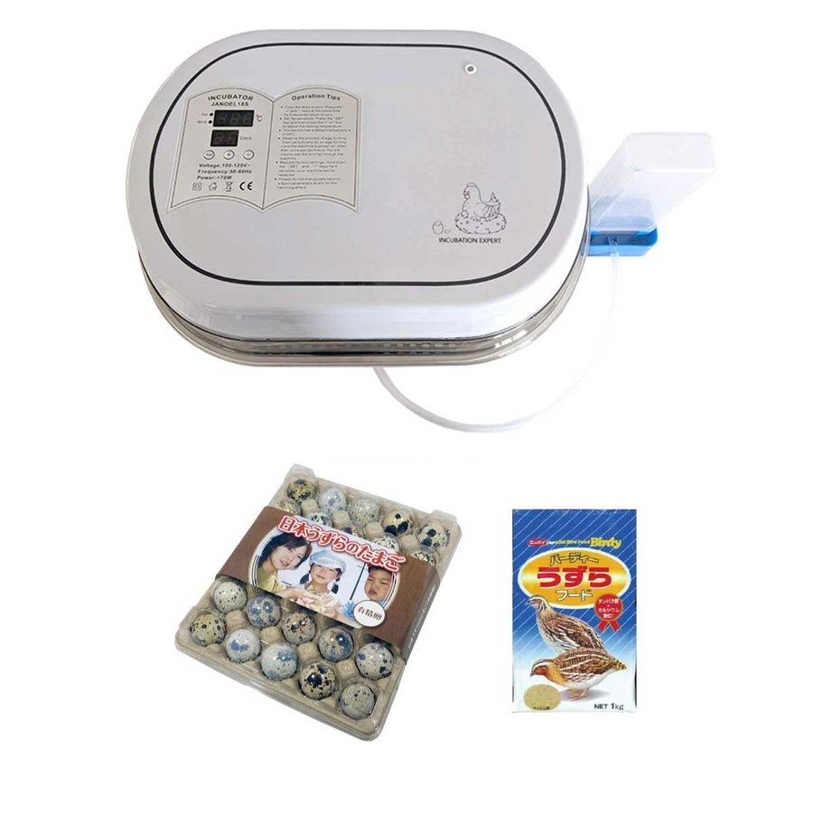 【有精卵】うずら・小型自動孵卵器・餌　3点セット