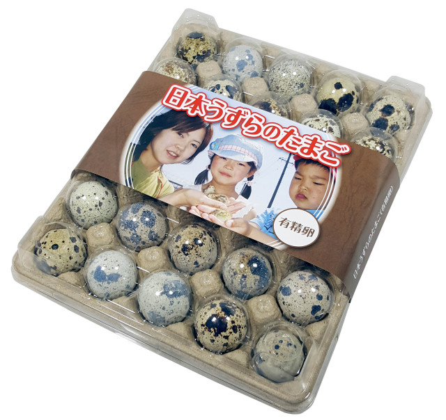 【有精卵】豊橋産  うずらの卵 孵化用 30個入り