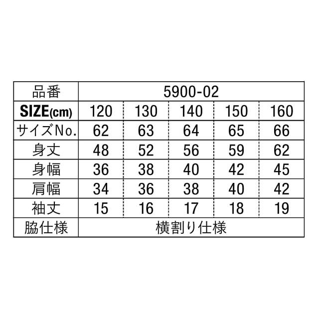 5900_02_sz.jpg