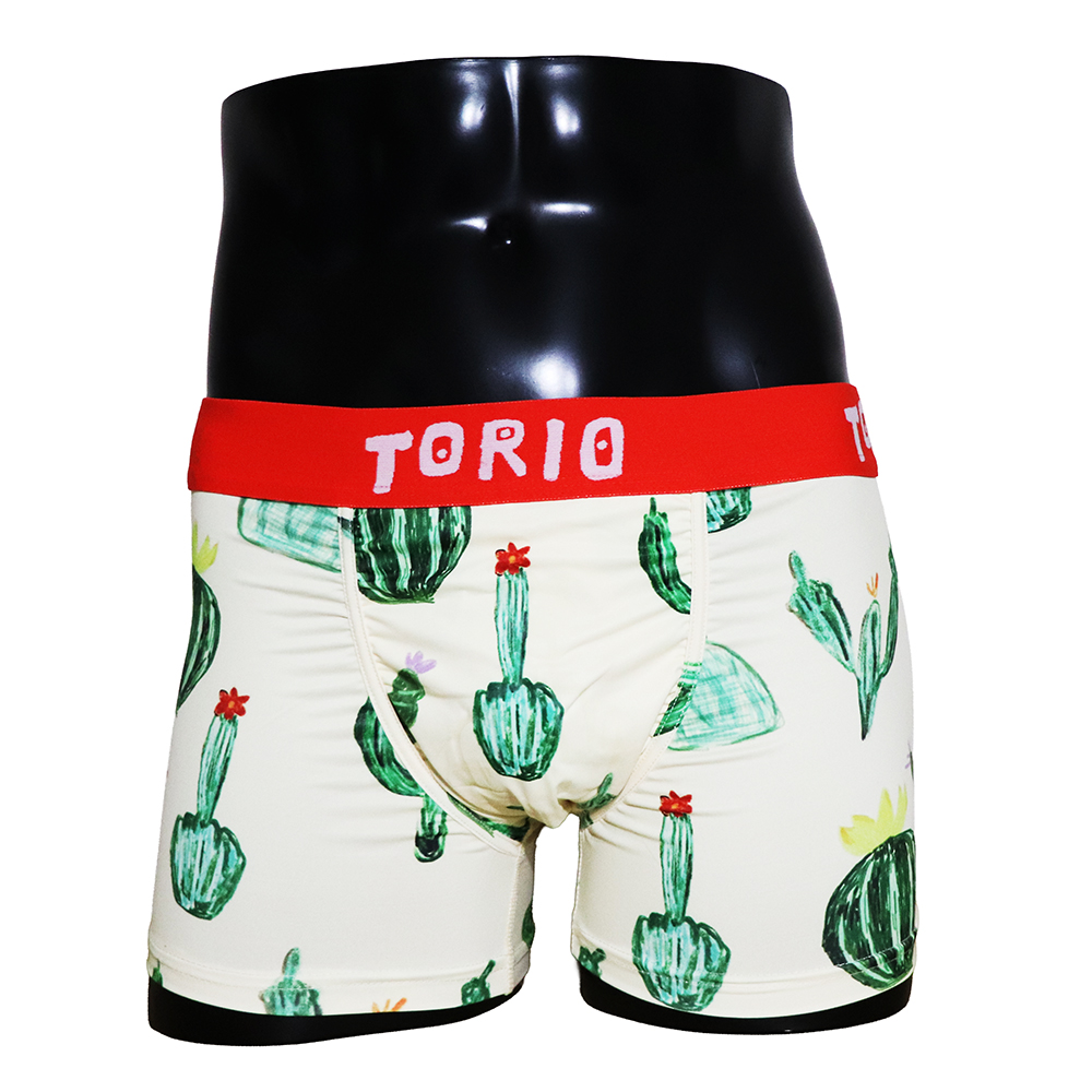 TORIO(トリオ)/サボテン