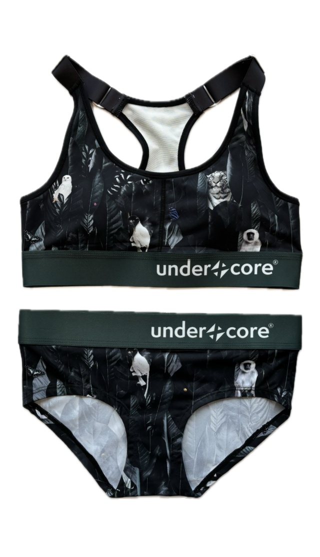 UNDERXCORE (アンダーコア)/LADY'Sブラジャー・パンツSET monotone empire