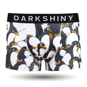 DARK SHINY（ダークシャイニー）/ PENGUIN