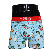 TORIO(トリオ)/サマーサンタ