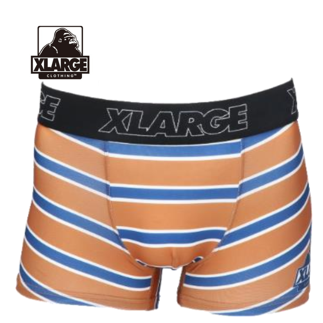 X-LARGE(エクストララージ)/Multi Border(brown)