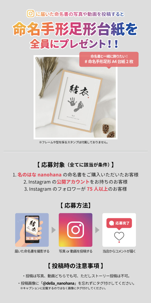 名のはな 飾る命名書 彩 Water