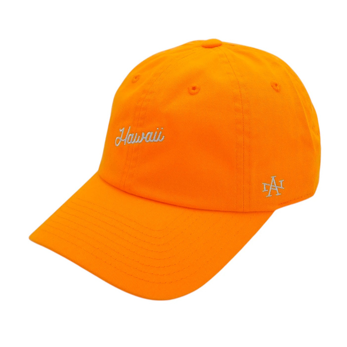 AMERICAN NEEDOL アメリカンニードル CAP