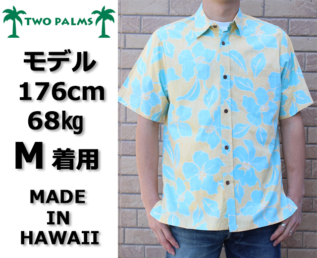 トゥーパームス,TWOPALMS,画像