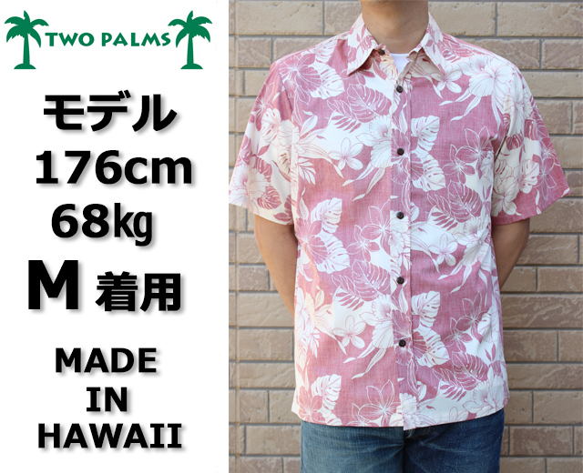 トゥーパームス,TWOPALMS,画像