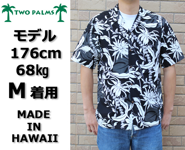 トゥーパームス,TWOPALMS,画像