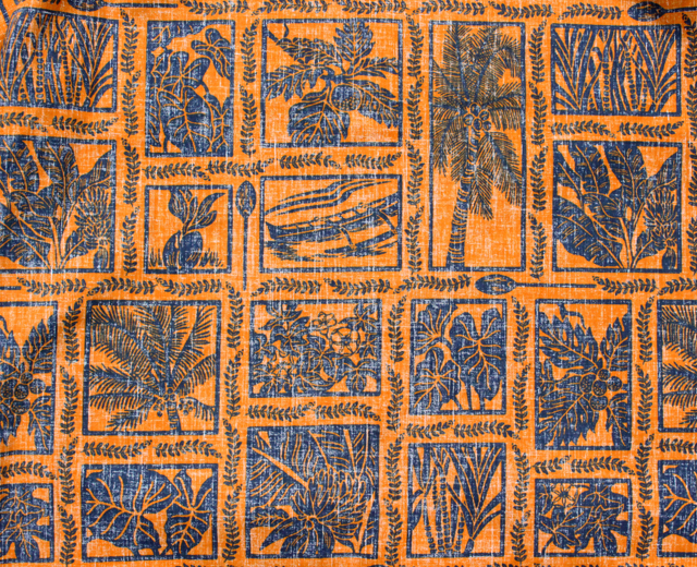 キホロカイ KiholoKai カノエプランツ