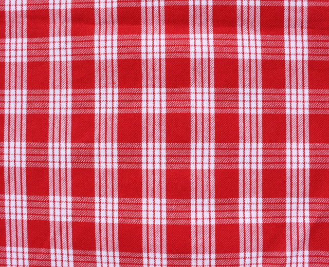 パラカハワイ　子供用