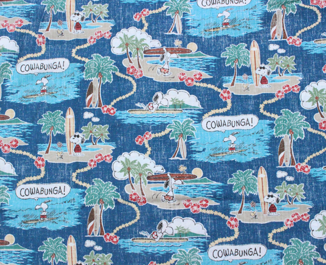 Reyn Spooner レインスプーナー アロハシャツ Surfin Snoopy サーフィンスヌーピー 黒 ブラック 青 ブルー ピンク