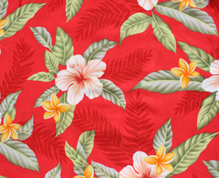 TWOPALMS トゥーパームス アロハシャツ