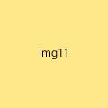 ����̾11����̾11