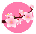 桜