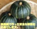 ���ܤ�����桡1�ġ�