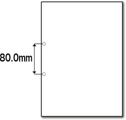 Ａ４白紙元帳２穴