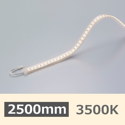 FX50-LED2500WW