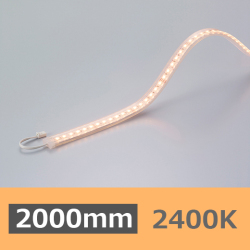 FX50-LED2000L24