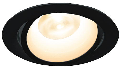 ユニバーサルダウンライト DNL 什器用LEDダウンライト・ユニバーサルタイプ 黒色 【100V/埋込穴