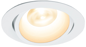 LUNKHEAD 白盤 DNL 什器用LEDダウンライト・ユニバーサルタイプ 白色 【100V/埋込穴