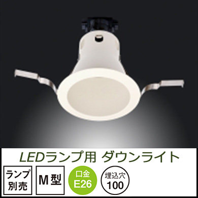 ◎器具のみ 【テスライティング】 LEDランプ用ダウンライト ○受注品