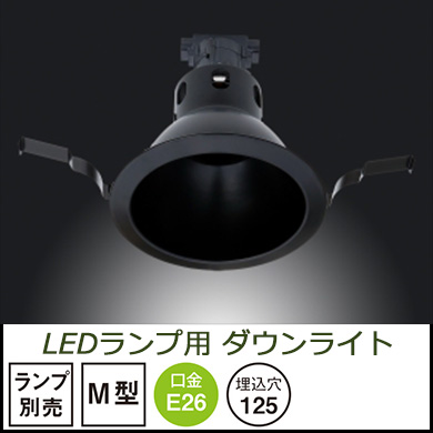 ◎器具のみ 【テスライティング】 LEDランプ用ダウンライト ○受注品