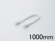 DK2P1000